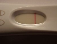 nfrer.jpg