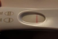 frer.jpg
