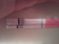 2011-02-19 01.09.16.jpg
