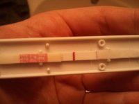 2011-02-19 01.06.24.jpg
