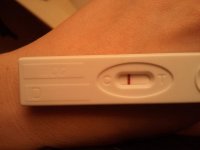 2011-02-19 01.05.04.jpg