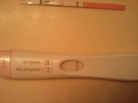 febposfrer8dpo.jpg