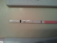 febposic8dpo.jpg