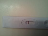febposdollarstore8dpo.jpg