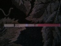 2011-02-19 11.10.25.jpg