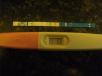 opk saturday 002.jpg