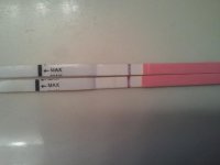 2011-02-19 11.49.55.jpg