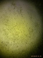 IMAG0927.jpg