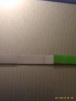 IMAG0929.jpg