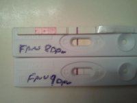 dollarstoreprog9dpo.jpg