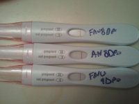 frer8to9dpofebpro.jpg