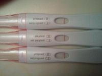 progfrer9dpofeb.jpg