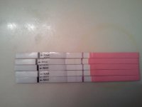 2011-02-20 16.31.13.jpg
