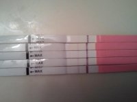 2011-02-20 17.12.45.jpg