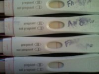10dpoprogfrer.jpg