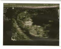 Baby Siv2.jpg