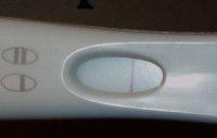 frer.jpg