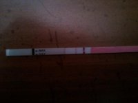 2011-02-21 20.02.49.jpg