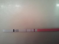 2011-02-21 20.04.35.jpg