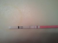 2011-02-21 20.04.52.jpg
