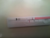 2011-02-22 10.30.21.jpg