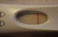 frer.jpg