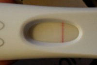 frer2.jpg