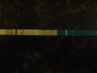 tue opk 006.jpg
