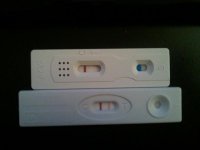 11dponight2diffdollartests.jpg
