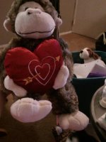 2011-02-19 19.33.21.jpg