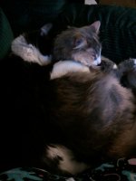 2011-02-23 12.07.35.jpg