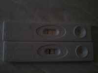 2011-02-23 14.19.34.jpg