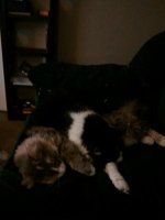 2011-02-23 20.09.44.jpg