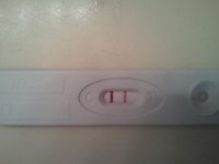 2011-02-24 02.31.11.jpg