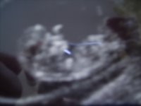 PICT2157.JPG
