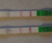 opk1.jpg