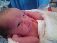Just born.jpg