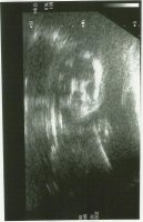 scan 5m 001.jpg