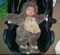 bear2.jpg