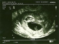 scan0005.jpg