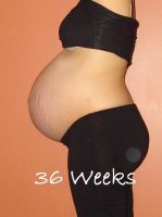 36 weeks.jpg