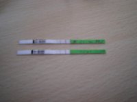 53400005.jpg