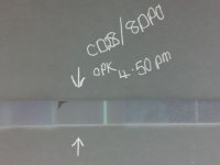 Photo099 inverted.jpg