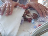Honey & Daddys Hands.jpg
