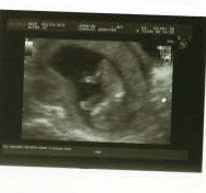 scan 1.JPG