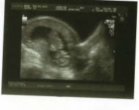scan 2.JPG