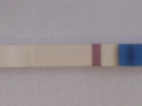 k 003.jpg