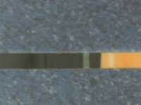 invert 007.jpg