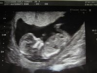 scan photo 1.jpg