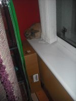 DSCF1881.jpg